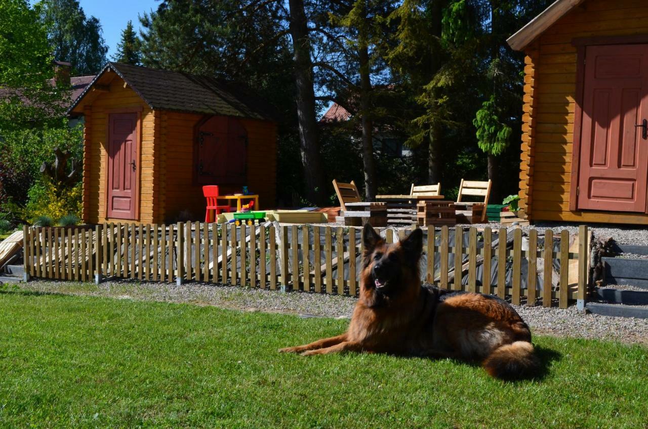 Domki Baigo Brodnica  Esterno foto